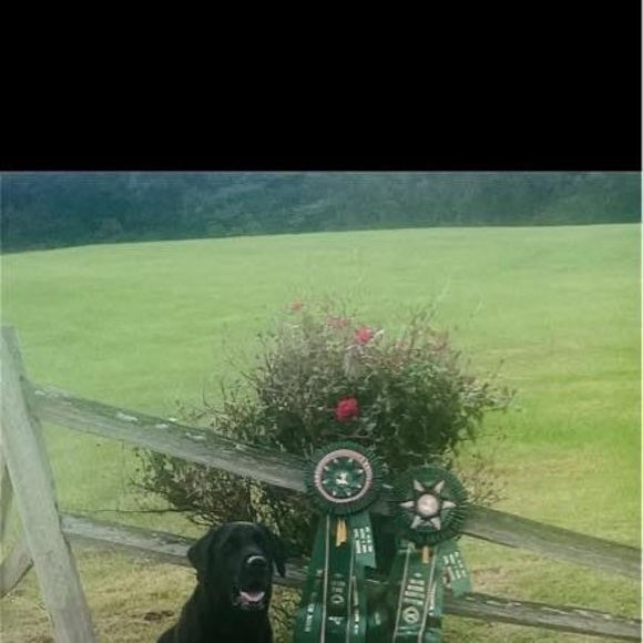 Meet your Posher, Rochelle - Picture 1 of 1